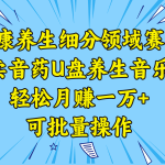 健康养生细分领域赛道，卖音药U盘养生音乐，轻松月赚一万+，可批量操作-梦帆创业网