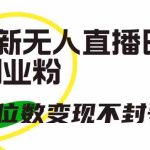 （9366期）抖音最新无人直播日引300+创业粉，单场五位数变现不封号教程！-梦帆创业网