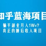 知乎蓝海玩法,躺平副业月入1W+,真正的睡后收入项目(6节视频课)-梦帆创业网