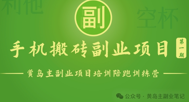 手机搬砖小副业项目训练营1.0，实测1小时收益50+，一部手机轻松日入100+-梦帆创业网
