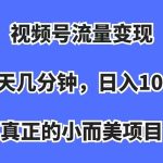 视频号流量变现，每天几分钟，收入100+，真正的小而美项目-梦帆创业网