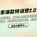 淘系爆款特训营2.0【第六期】从选品上架到付费放大 全店运营 打爆款 做好店-梦帆创业网