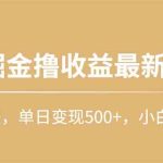 （10163期）快手掘金撸收益最新技术，高收益玩法，单日变现500+，小白必备项目-梦帆创业网