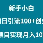 （9556期）新手小白如何通过卖项目实现月入10W+-梦帆创业网