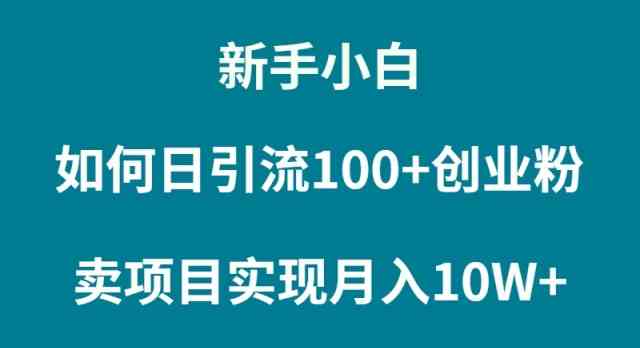 （9556期）新手小白如何通过卖项目实现月入10W+-梦帆创业网