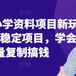 2024年小学资料项目新玩法,长期稳定项目,学会批量复制搞钱-梦帆创业网