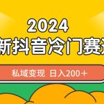 2024抖音最新冷门赛道,私域变现轻松日入200+,作品制作简单,流量爆炸-梦帆创业网