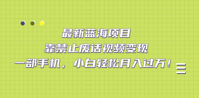 最新蓝海项目，靠禁止废话视频变现，一部手机，小白轻松月入过万！-梦帆创业网
