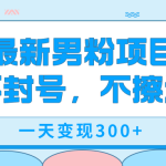 最新男粉变现，不擦边，不封号，日入300+（附1360张美女素材）-梦帆创业网