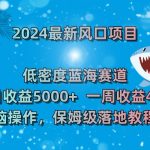 2024最新风口项目 低密度蓝海赛道,日收益5000+周收益4w+ 无脑操作-梦帆创业网