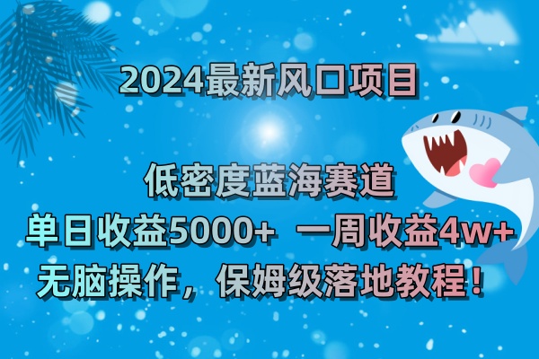 2024最新风口项目 低密度蓝海赛道，日收益5000+周收益4w+ 无脑操作-梦帆创业网