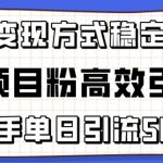 精准项目粉高效引流术，新手单日引流50+，多重变现方式稳定赚钱-梦帆创业网