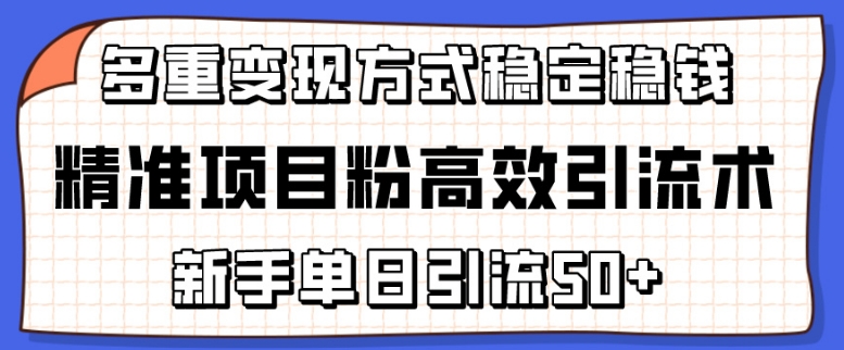 精准项目粉高效引流术，新手单日引流50+，多重变现方式稳定赚钱-梦帆创业网