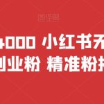 首发价值4000 小红书无限艾特暴力引流创业粉 精准粉揭秘教程-梦帆创业网