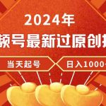 （9565期）2024年视频号最新过原创技术，当天起号，收入稳定，日入1000+-梦帆创业网