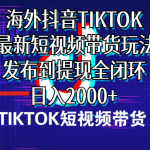 （10320期）海外短视频带货，最新短视频带货玩法发布到提现全闭环，日入2000+-梦帆创业网