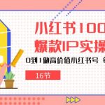小红书100天爆款IP实操营,0到1做高价值小红书号,每月多赚3000+(16节)-梦帆创业网