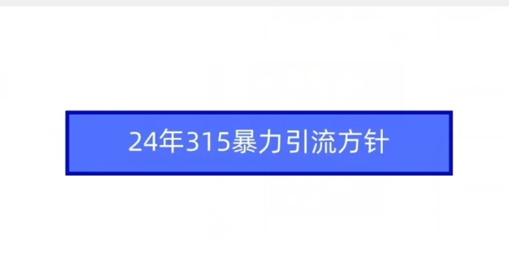 24年315暴力引流方针-梦帆创业网