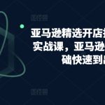 亚马逊精选开店指南,选品实战课,亚马逊如何从0基础快速到出单-梦帆创业网