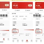 多多视频带货项目，搬运日入过万，0成本，轻松实现躺赚（教程+软件）-梦帆创业网