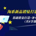 （9962期）淘系新品销量打造实战系列，基础销量打造+补单渠道分析（共8节课）-梦帆创业网