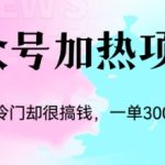 冷门公众号加热项目，一单利润300+-梦帆创业网