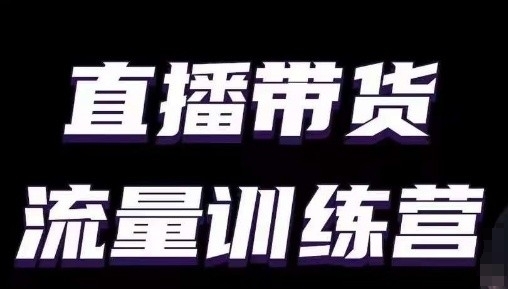 直播带货流量训练营，小白主播必学直播课-梦帆创业网