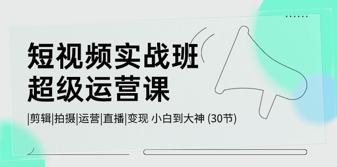 短视频实战班超级运营课 |剪辑|拍摄|运营|直播|变现 小白到大神 (30节)-梦帆创业网