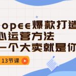 （10777期）Shopee-爆款打造核心运营方法，下一个大卖就是你（13节课）-梦帆创业网
