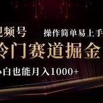2024视频号冷门赛道掘金，操作简单轻松上手，小白也能月入1000+-梦帆创业网