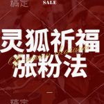 灵狐送祈福,视频号涨粉新方法,分成计划,橱窗带货 3种收益到手,日入1k+【揭秘】-梦帆创业网