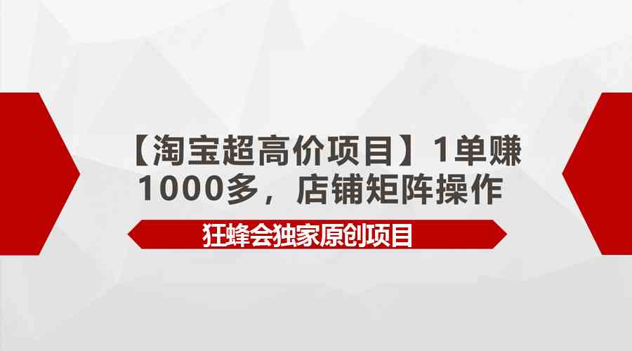 （9849期）【淘宝超高价项目】1单赚1000多，店铺矩阵操作-梦帆创业网