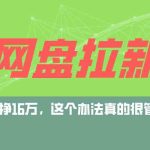 （9373期）网盘拉新+私域全自动玩法，0粉起号，小白可做，当天见收益，已测单日破5000-梦帆创业网