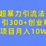 （9954期）超暴力引流法，日引300+创业粉，卖项目月入10W+-梦帆创业网