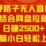 野路子无人直播结合网盘拉新，日赚2500+，小白无脑轻松上手-梦帆创业网