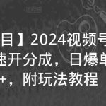 【蓝海项目】2024视频号分成计划，快速开分成，日爆单8000+，附玩法教程-梦帆创业网
