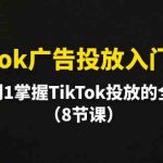 (10085期)TikTok广告投放入门教程,从0到1掌握TikTok投放的全流程(8节课)-梦帆创业网