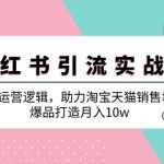 小红书引流实战课:详解运营逻辑,助力淘宝天猫销售增量,爆品打造月入10w-梦帆创业网