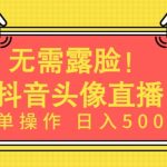 无需露脸，Ai头像直播项目，简单操作日入500+-梦帆创业网