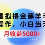 （9864期）虚拟撸金薅羊毛，简单操作，小白当天上手，月收益5000+-梦帆创业网