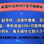 （12852期）韩国知名游戏打金无脑搬砖单机收益500+-梦帆创业网