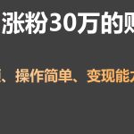单月涨粉30万，带货收入20W，5分钟就能制作一个视频！-梦帆创业网