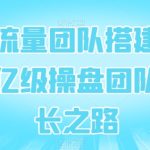 企业流量团队搭建与管理,亿级操盘团队的成长之路-梦帆创业网