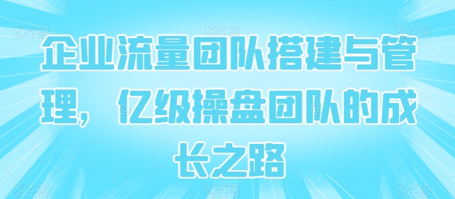 企业流量团队搭建与管理，亿级操盘团队的成长之路-梦帆创业网