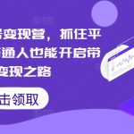 微信视频号变现营，抓住平台优势，普通人也能开启带货变现之路-梦帆创业网
