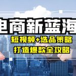 商家必看电商新蓝海:短视频+选品策略,打造爆款全攻略,月入10w+-梦帆创业网