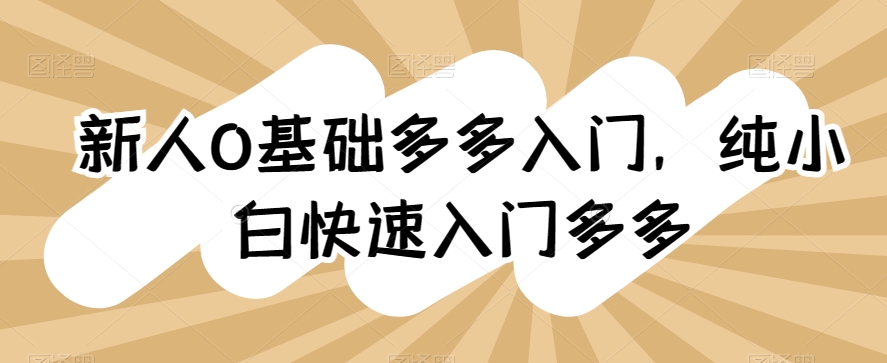 新人0基础多多入门，​纯小白快速入门多多-梦帆创业网