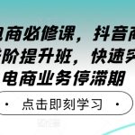 2024年电商必修课,抖音商家直播操盘手进阶提升班,快速突破直播电商业务停滞期-梦帆创业网