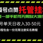 （10644期）视频号点赞托管挂机，单号单天利润30~50，一部手机无限放大（附带无限…-梦帆创业网
