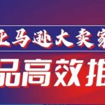 亚马逊大卖家-新品高效推广，​分享如何高效推广，打造百万美金爆款单品-梦帆创业网